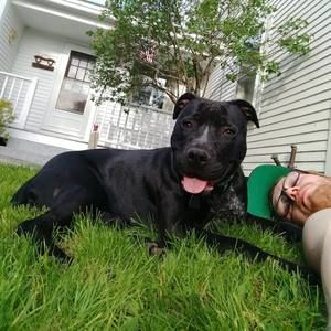 Meet your Posher, Ian